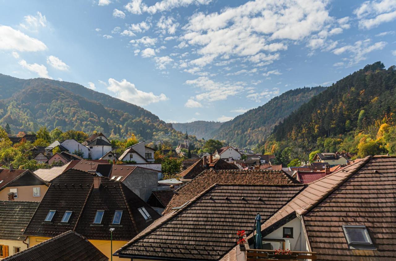Sun Villas Accommodation Брашов Экстерьер фото